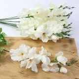 mieczyk-pojedynczy-cream-12-szt-stan-nowy