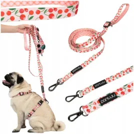 smycz-dla-psa-smycz-regulowana-dla-psa-przepinana-3m-cherry-pup-m