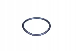 uszczelka-pompy-wody-vw-golf-98-vag-038121119