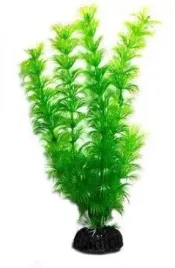 aquael-roslina-kepkowa-pr-410-4-10cm