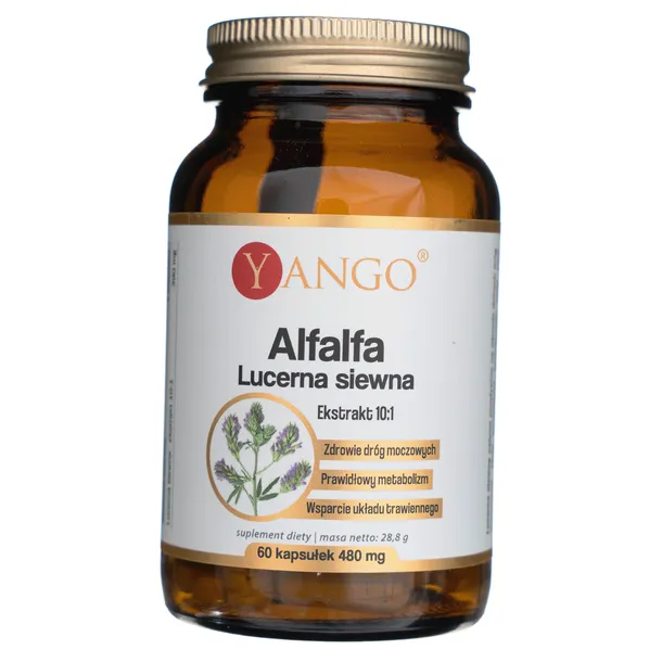 yango-alfalfa-lucerna-siewna-60-kapsulek-producent-yango