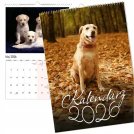 kalendarz-scienny-2026-wieloplanszowy-duzy-notes-labrador-retriever-pies-a4