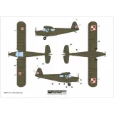 samolot-rwd-13-september-1939-model-aa48026-answer-okres-do-ii-wojny-swiatowej