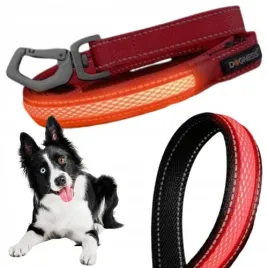 smycz-odblaskowa-dla-psow-z-led-tasma-152-cm-do-30-kg-m-l-dogness