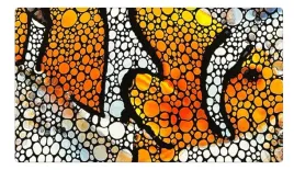 flipper-aquarium-mat-clownfish-75x45cm