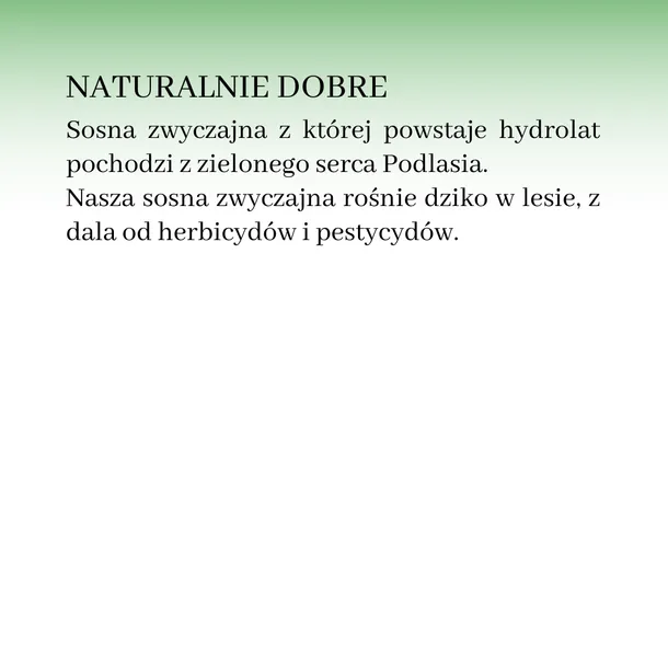 hydrolat-sosnowy-100ml-typ-skory-alergiczna-dojrzala-mieszana-naczynkowa-normalna-problematyczna-sucha-tlusta-wrazliwa-do-wszystkich-typow-skory