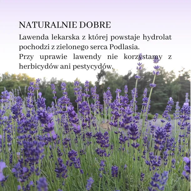 hydrolat-lawendowy-50ml-typ-skory-alergiczna-dojrzala-mieszana-naczynkowa-normalna-problematyczna-sucha-tlusta-wrazliwa-do-wszystkich-typow-skory
