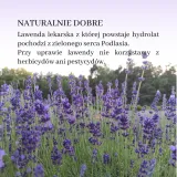 hydrolat-lawendowy-50ml-typ-skory-alergiczna-dojrzala-mieszana-naczynkowa-normalna-problematyczna-sucha-tlusta-wrazliwa-do-wszystkich-typow-skory