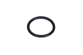 oe-psa-uszczelka-termostatu-citroen-peugeot-14-16-b-06-