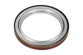victor-reinz-simering-tyl-walu-fiat-23jtd-ducato-03-83x113x13
