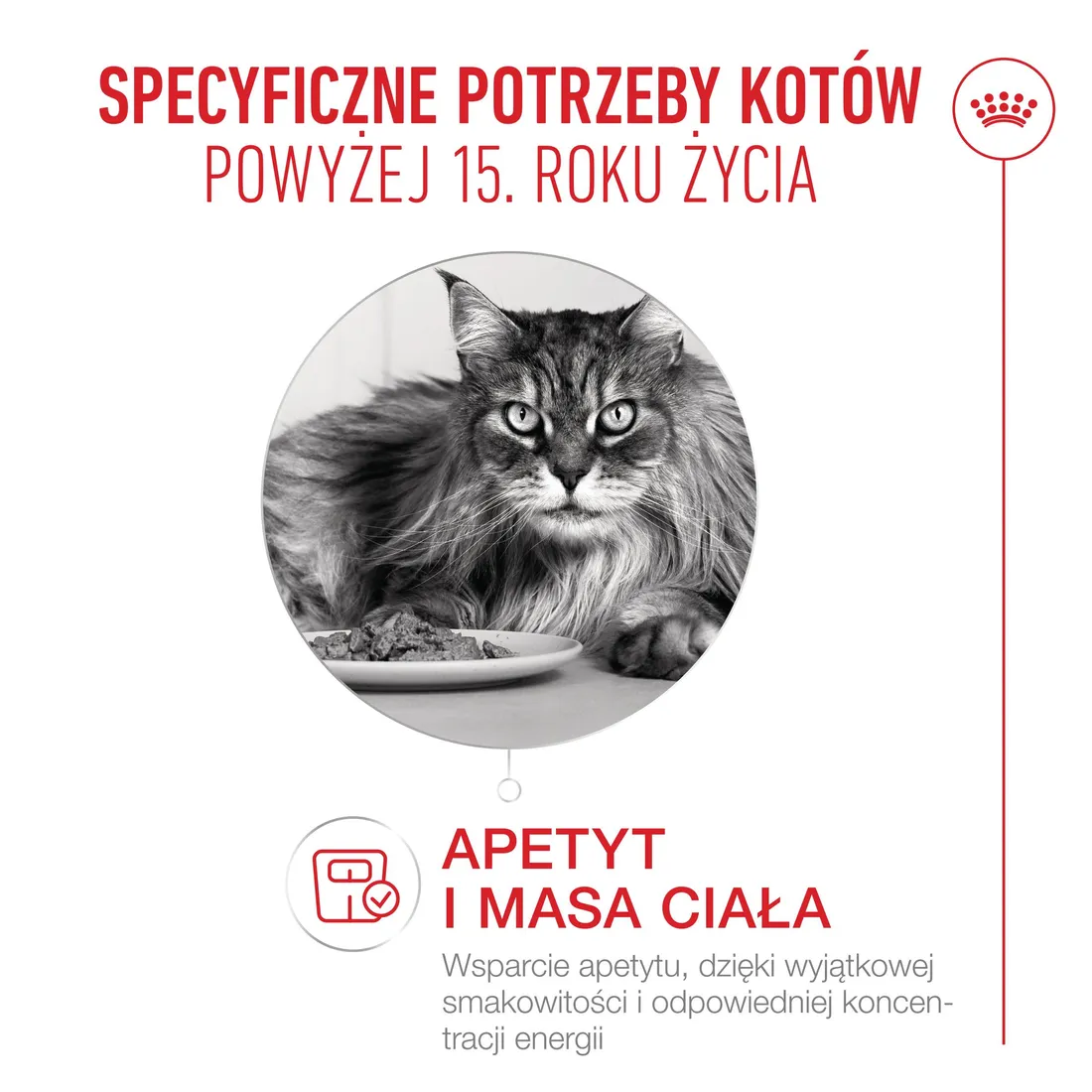 royal-canin-ageing-15-4kg-marka-royal-canin
