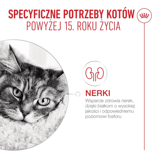 royal-canin-ageing-15-4kg-wiek-zwierzecia-koty-starsze
