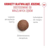royal-canin-ageing-15-4kg-karmy-specjalne-nie-dotyczy