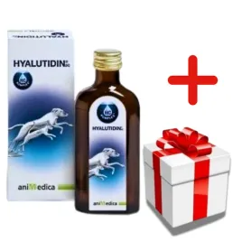 hyalutidin-plyn-na-stawy-125ml-niespodzianka-dla-psa-gratis