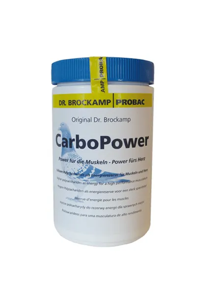 carbo-power-500g