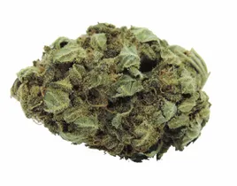caramello-2g-721percent-cbd