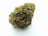 cannatonic-5g-684percent-cbd
