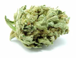 lemon-haze-1g-3percent-cbd