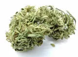 sativa-buds-5g-52percent-cbd
