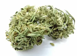 sativa-buds-5g-52percent-cbd