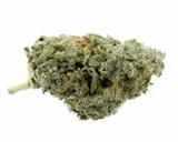 silver-haze-10g-3percent-cbd