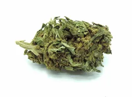 super-sativa-25g-3percent-cbd