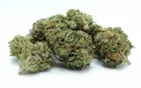 agent-5g-56percent-cbg