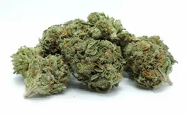agent-5g-56percent-cbg