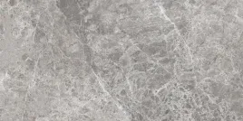 mexen-lizard-grey-gres-szkliwiony-plytka-podlogowo-scienna-120x60-polysk