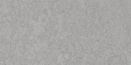 mexen-megnum-silver-gres-szkliwiony-plytka-podlogowo-scienna-120x60-carving
