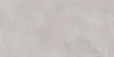 mexen-evolution-light-grey-gres-szkliwiony-plytka-podlogowo-scienna-120x60-liczba-sztuk-w-opakowaniu-2-szt
