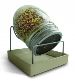 sloik-do-kielkowania-geo-kielkownica-bavicchi