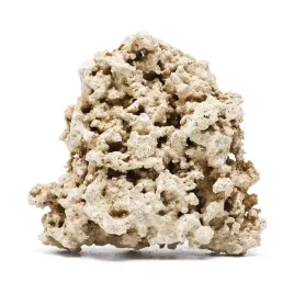 base-rock-indonesia-1kg-sucha-skala-do-akwarium-morskiego