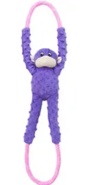 zippy-paws-malpka-na-linie-fioletowa