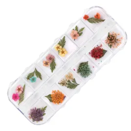 suszone-kwiaty-do-zdobien-paznokci-w-kasetce-molly-nails-rodzaj-e-36szt