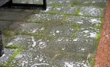 tenzi-topefekt-moss-1l-rodzaj-czyszczenie-wielofunkcyjne