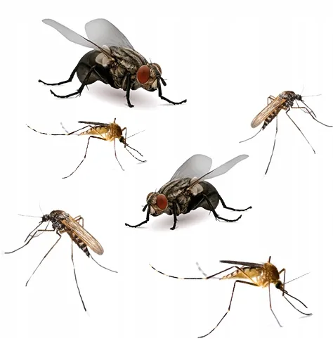 bros-muchospray-250ml-stan-opakowania-oryginalne-kod-producenta-muchospray-bros-na-owady-muchy-komary-muszki