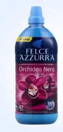 felce-azzurra-do-plukania-black-orchid-68-p