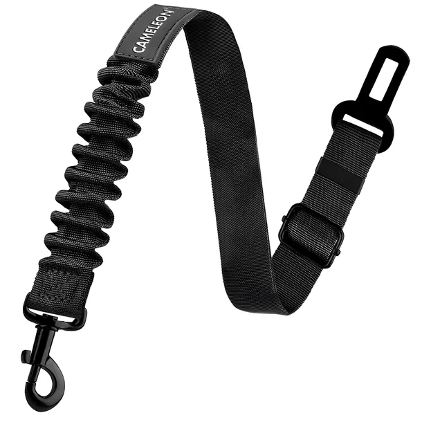 transporter-dla-psa-kota-cmd-10-wysokosc-calkowita-1-cm