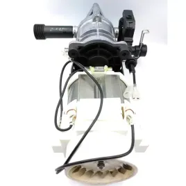 6-silnik-z-pompa-do-myjki-cisnieniowej-dedra-ded8821