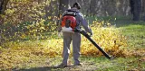 dmuchawa-spalinowa-cifarelli-bl1200-bl1200-produkt-wprowadzony-do-obrotu-na-terenie-ue-przed-13-12-2024-tak-stan-nowy