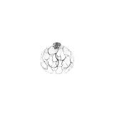 plafon-berella-light-aspilia-ch-bl0187