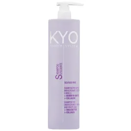 kyo-smooth-frizzy-hair-shampoo-lagodny-szampon-wygladzajacy-wlosy-500ml