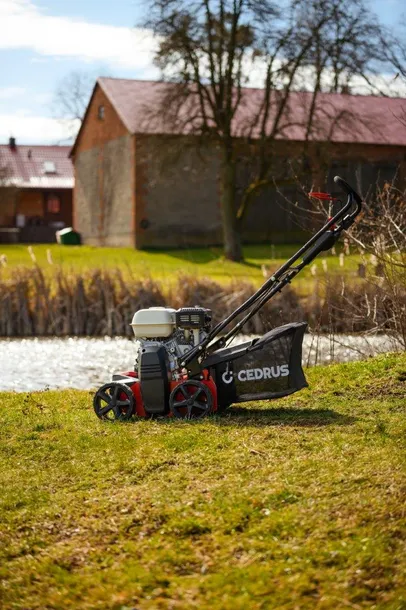 wertykulator-cedrus-cedwr01-h-cedwr01-h-stan-nowy