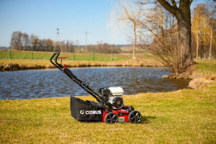 wertykulator-cedrus-cedwr01-h-cedwr01-h-kod-produktu-5903228183003-produkt-wprowadzony-do-obrotu-na-terenie-ue-przed-13-12-2024-tak-stan-nowy