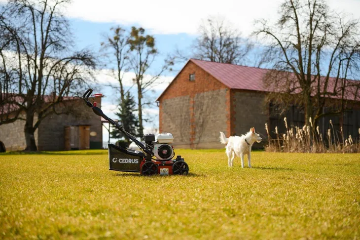 wertykulator-cedrus-cedwr01-h-cedwr01-h-produkt-wprowadzony-do-obrotu-na-terenie-ue-przed-13-12-2024-tak-stan-nowy