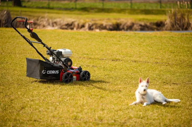 wertykulator-cedrus-cedwr01-h-cedwr01-h-stan-nowy-kod-produktu-5903228183003-produkt-wprowadzony-do-obrotu-na-terenie-ue-przed-13-12-2024-tak