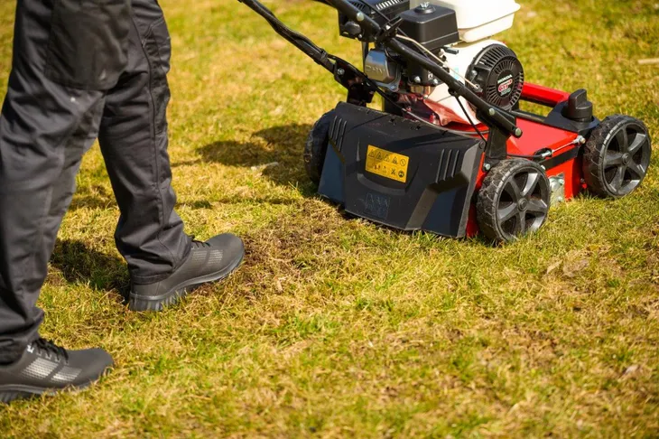 wertykulator-cedrus-cedwr01-h-cedwr01-h-stan-nowy-kod-produktu-5903228183003