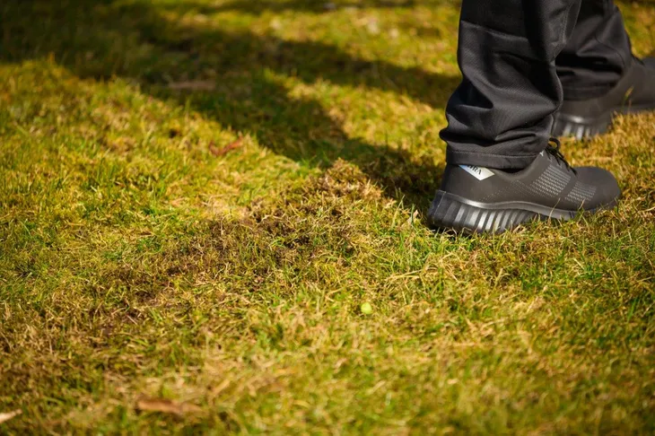 wertykulator-cedrus-cedwr01-h-cedwr01-h-stan-nowy-produkt-wprowadzony-do-obrotu-na-terenie-ue-przed-13-12-2024-tak