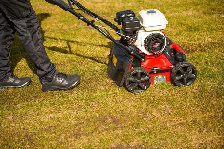 wertykulator-cedrus-cedwr01-h-cedwr01-h-kod-produktu-5903228183003-produkt-wprowadzony-do-obrotu-na-terenie-ue-przed-13-12-2024-tak